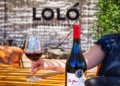 Viña Santa Cruz: vino, cultura y naturaleza en el corazón de Colchagua Costa