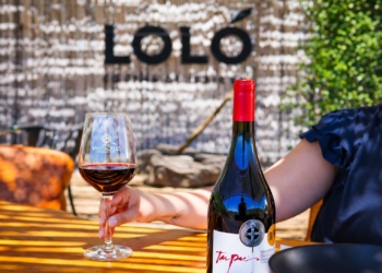 Viña Santa Cruz: vino, cultura y naturaleza en el corazón de Colchagua Costa