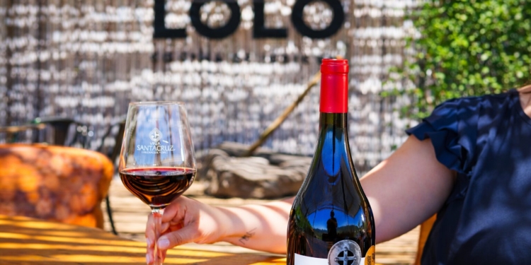 Viña Santa Cruz: vino, cultura y naturaleza en el corazón de Colchagua Costa