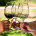Caminando entre Viñedos invita a descubrir Curicó entre vinos, innovación y tradición